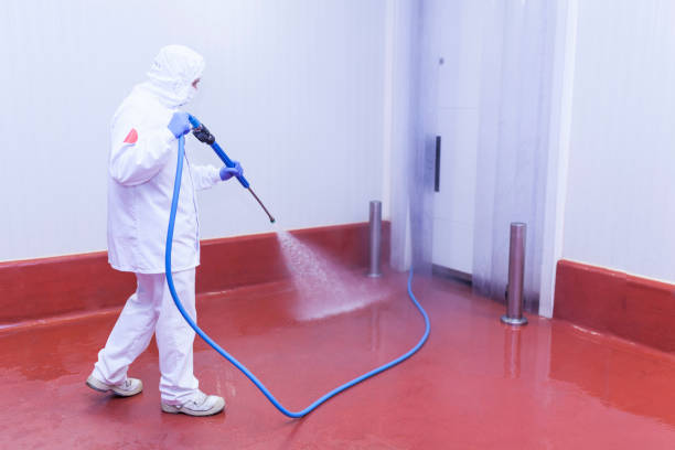 Best Paint Preparation  in Timberlake, VA