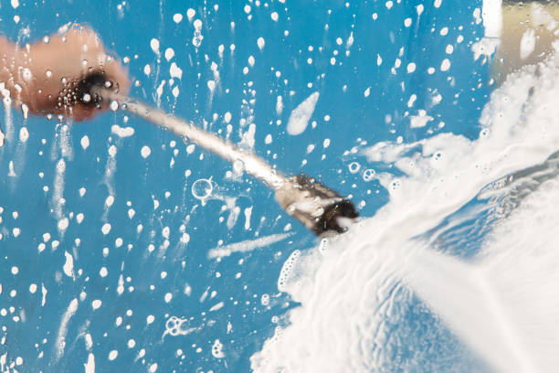Animal Enclosure Cleaning in Timberlake, VA