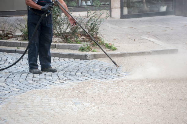 Best Sidewalk and Walkway Cleaning  in Timberlake, VA