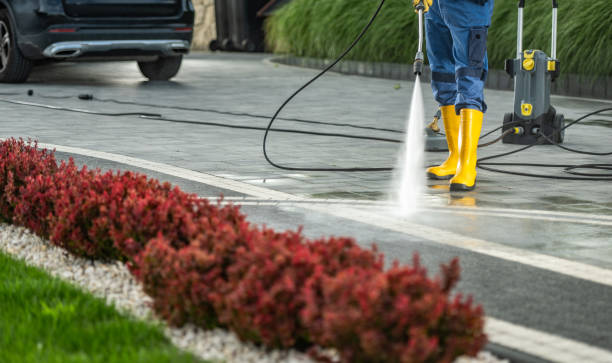 Best Dumpster Area Cleaning  in Timberlake, VA